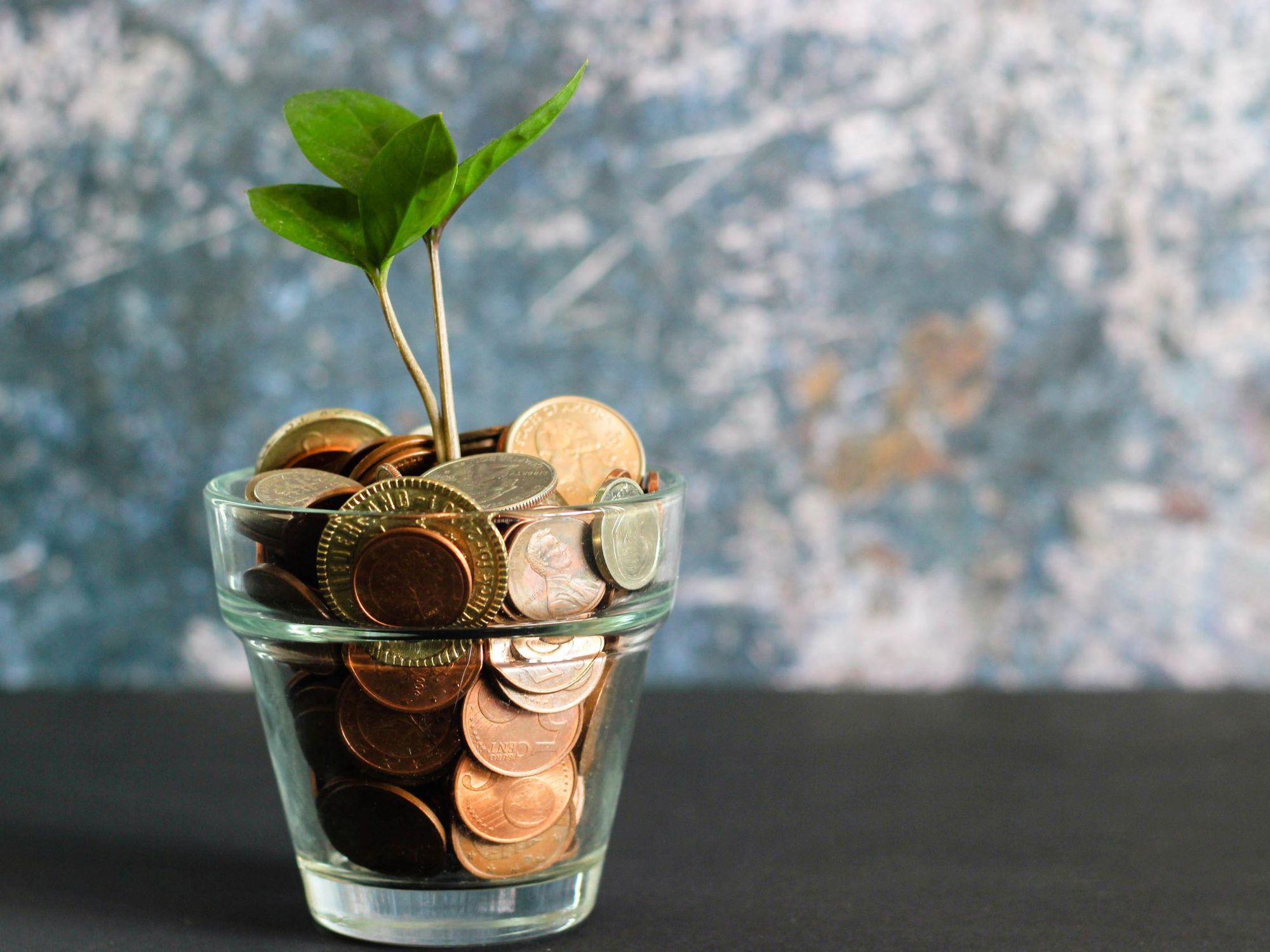 Plant in a glass pot filled with coins instead of dirt