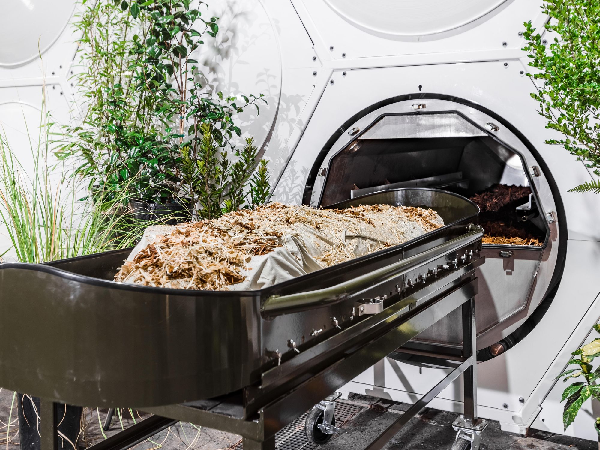 California Legalizes Human Composting for ‘Green’ Burial Alternative