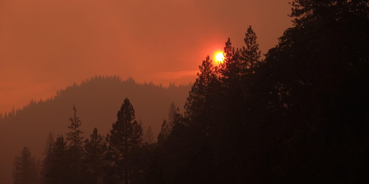 With Fire Season Approaching, Let’s Talk Microgrids