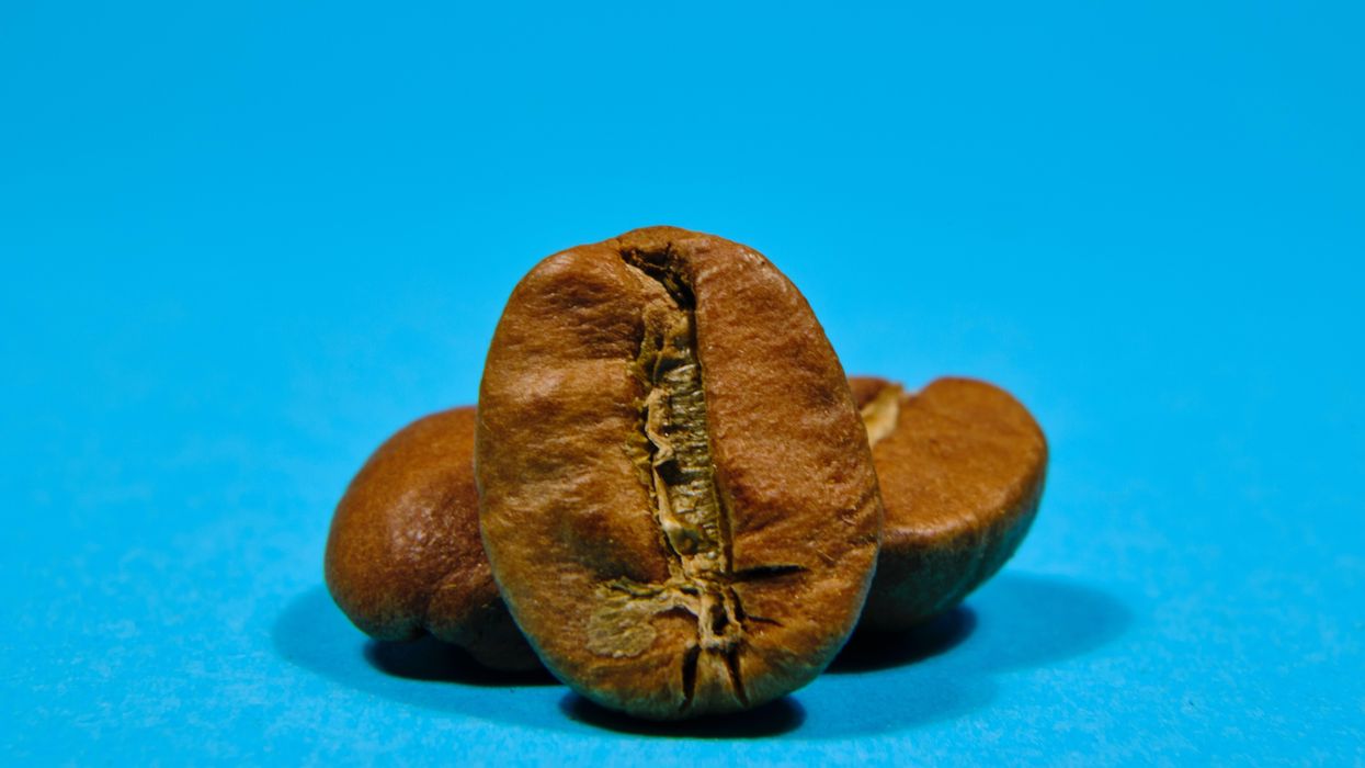 New Amplify Seed Report Shows Deals Fell 35% In the Second Half of 2022