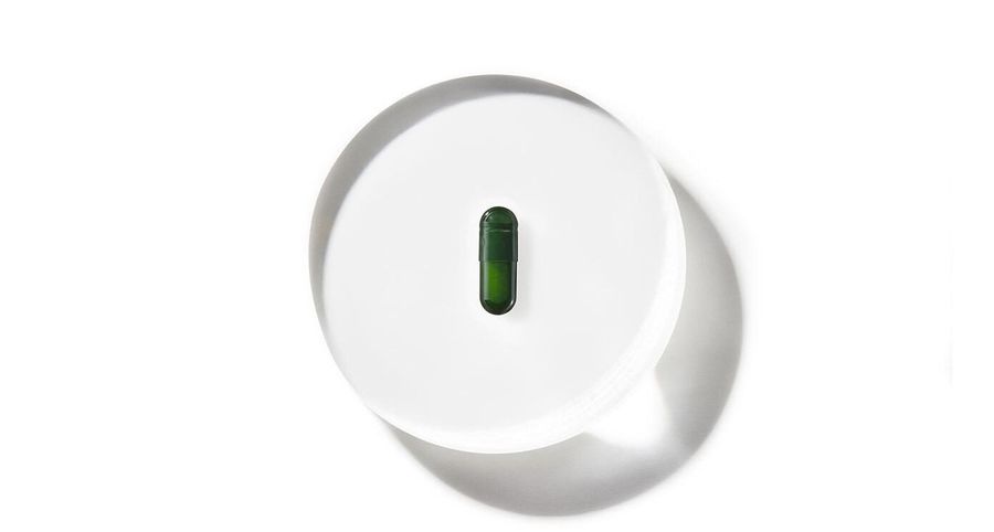Seed