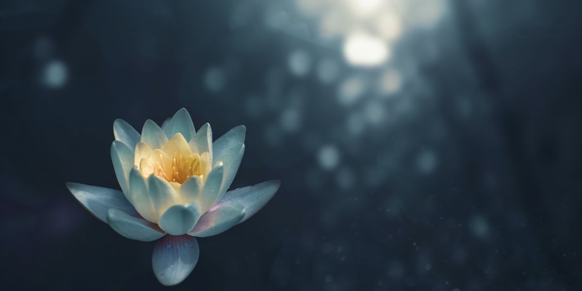 When Mindfulness Meets Social Media