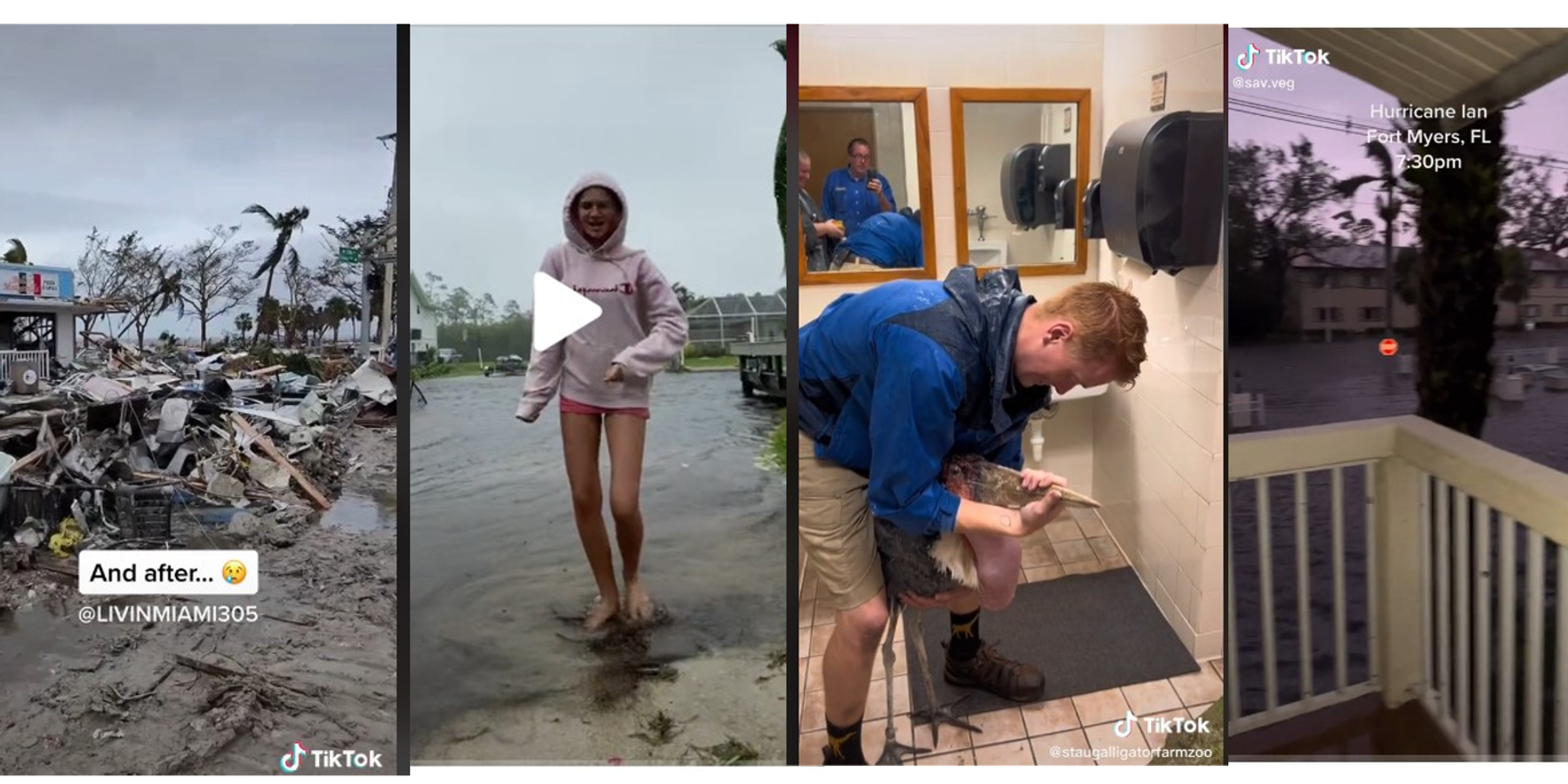 Cloud Clout: TikTok Dominated Hurricane Ian Coverage