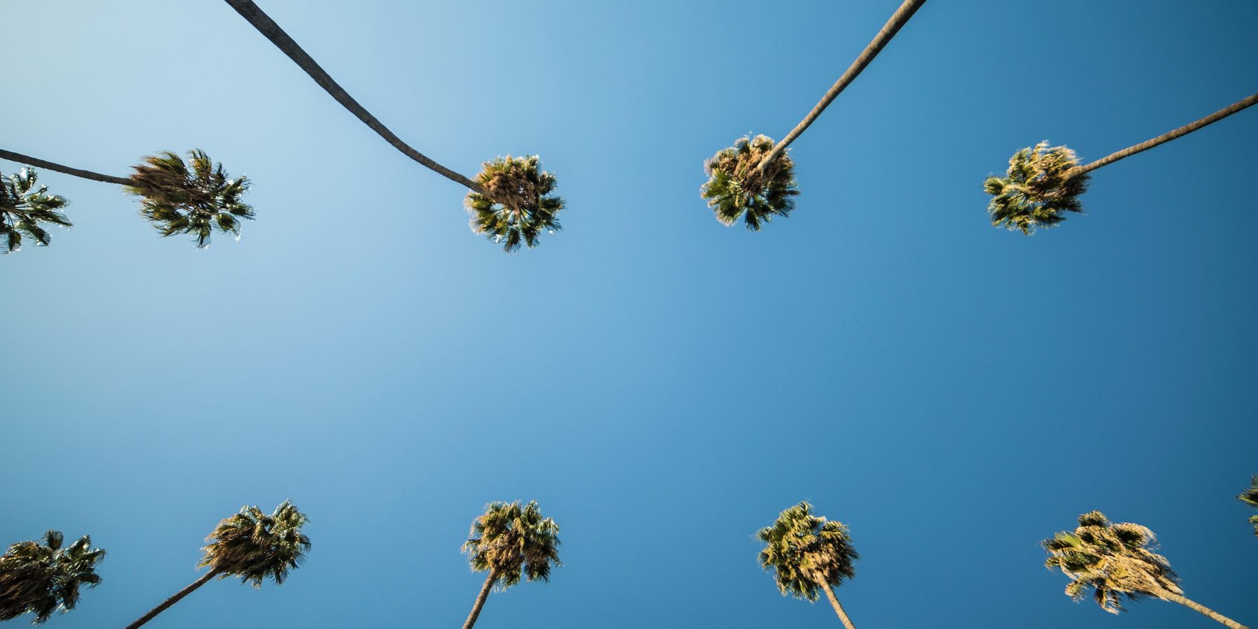 Montgomery Summit Updates: Zynga Hunting Gaming Acquisitions; Moxie the Robot Looks to Partner with Schools