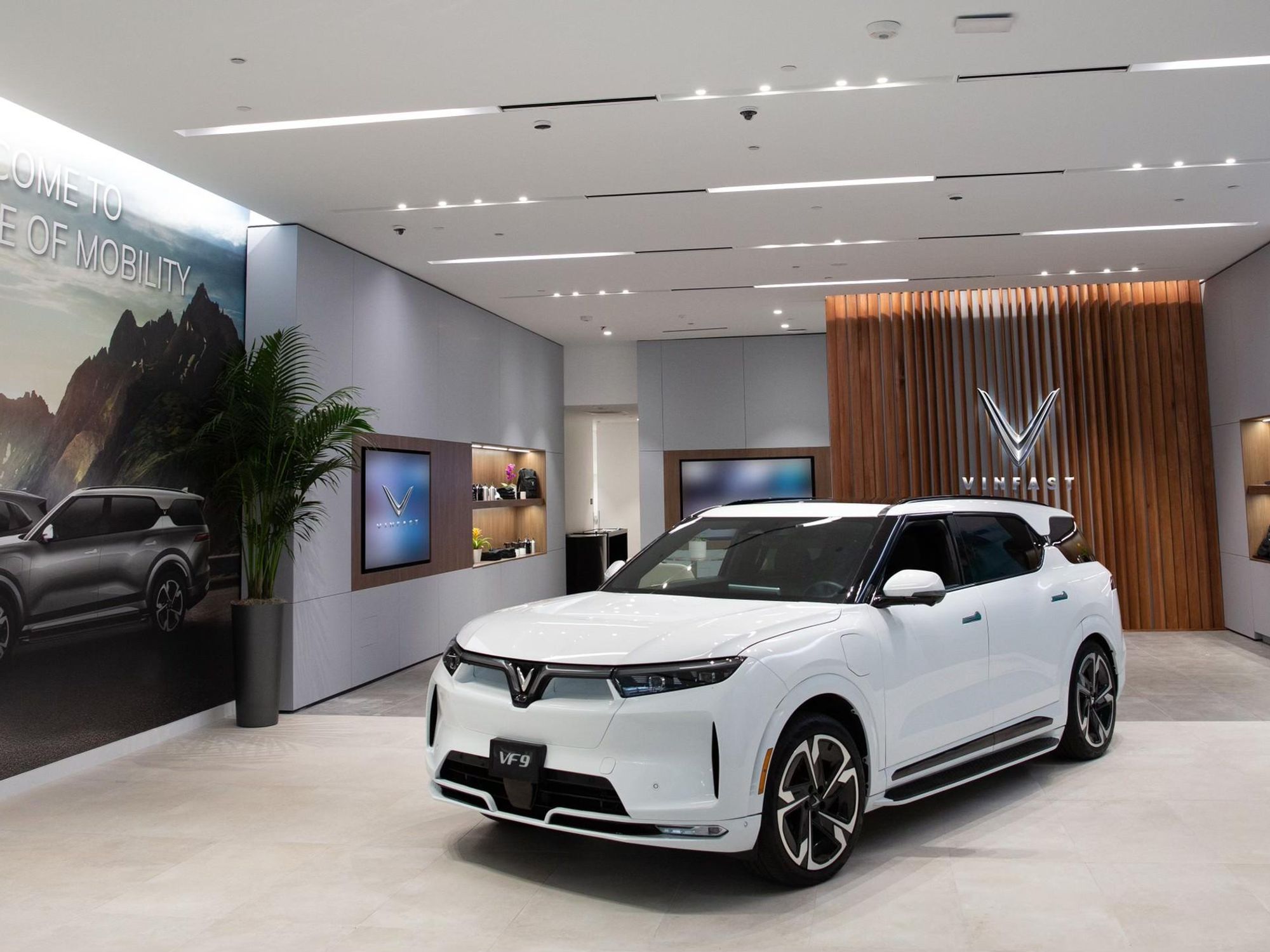 Electric Vehicle Startup Vinfast Targets 2023 for Public Offering