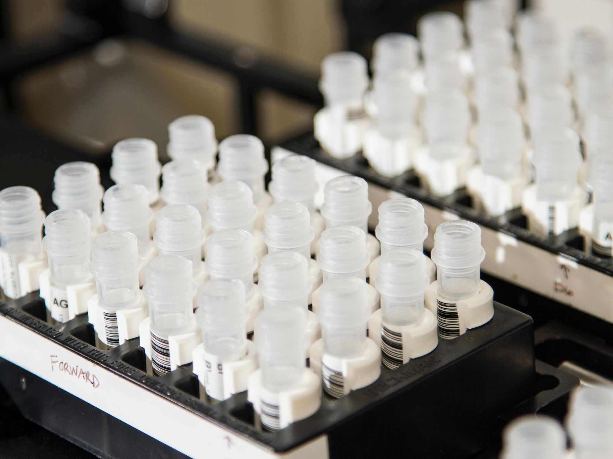 Appia Bio Comes Out of Stealth Aiming to Offer Faster, Safer Cancer-Fighting Therapies