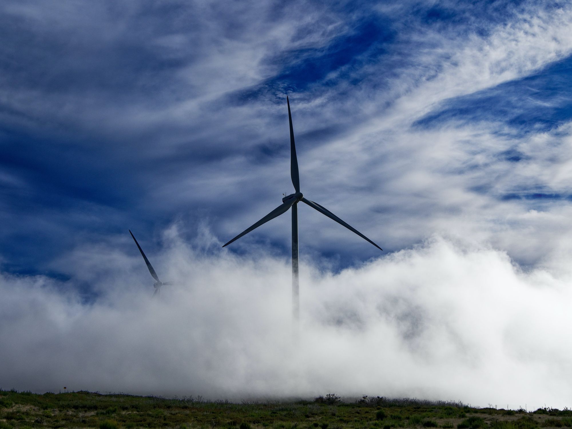 SoCal Cleantech Still Buzzing Despite Gloomy VC Environment