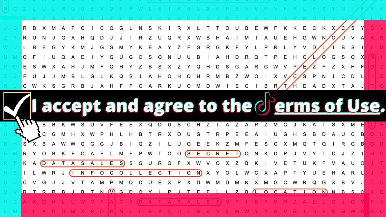 Word search with TikTok border and "I accept and agree to the Terms of Use" in the middle with the TikTok logo replacing the "T" in the "Terms of Use"