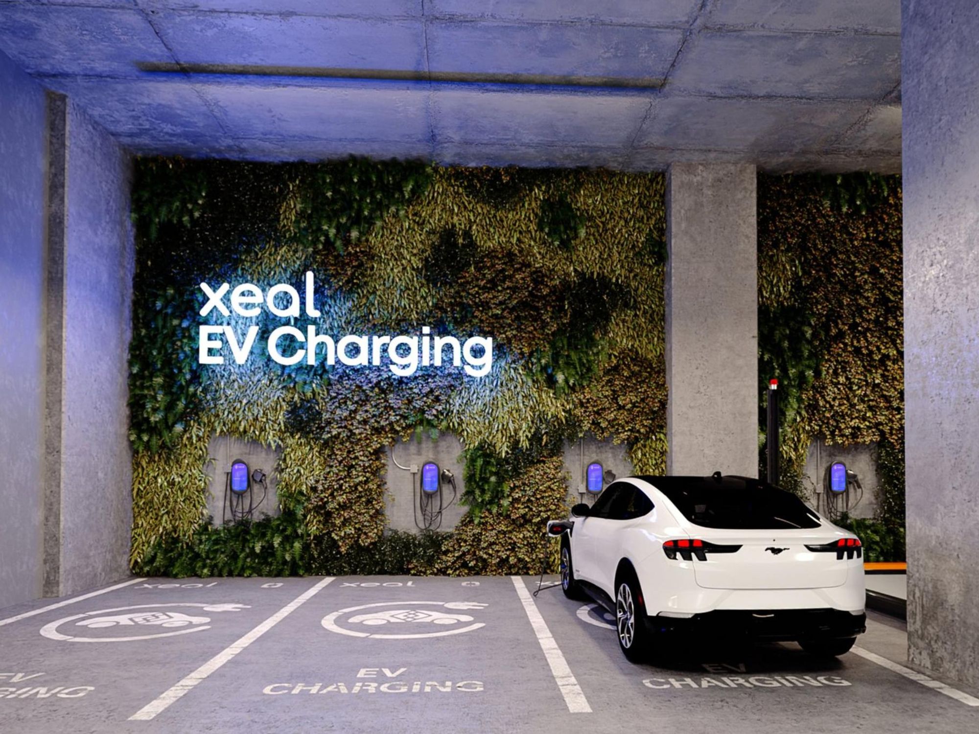 Xeal Energy logo and car in parking lot